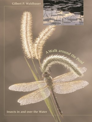 cover image of A Walk around the Pond